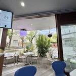 SALON DE STELLA - 