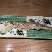 ひぐらし - 