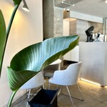 KJ COFFEE - 