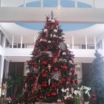 Plumeria Beach House - 