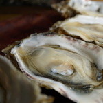 야마에이 수이산 - 生牡蠣１コ100円