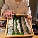 鮨 こしかわ - 