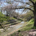 SAHHA - 佐保川沿いの桜は、まだ少し残っていた