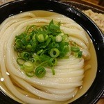 うどん 丸香 - ひやかけうどん