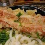 うどん 丸香 - ひやかけうどん
