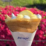 GELATO PIQUE CAFE - 料理写真: