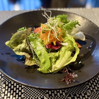 ウン パッソ アラ ヴォルタ_1