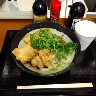 いぶきうどん_1