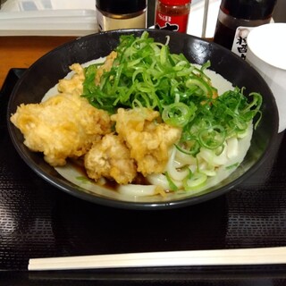 いぶきうどん_0