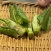 Tempura Fukamachi - さしぼ