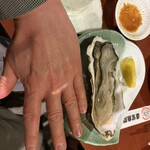 北海道さかな一途 直営魚問屋 - 