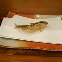 天ぷらふく西 禅と匠 - 稚鮎