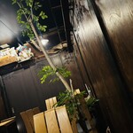 hide mode - 