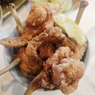 鳥椿_0