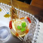 リ スカンピ - "金子シェフのスペシャリテ"スカンピのパンナコッタ 