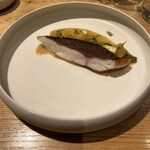 NeMo - 