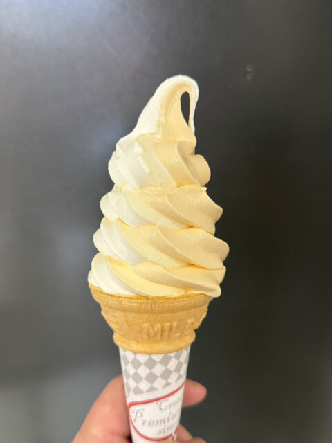あいすの家とエトセトラ 長沼本店 - 北広島/ジェラート・アイス