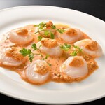 メヒコ シャークワールド - 料理写真: