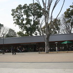 スターバックスコーヒー - 