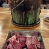 ほるもん猿 - はつ・たん小