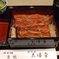 かぐら坂 志満金 - うな重（志満金）