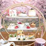 Neko◯cafe - アフタヌーンティー猫のお茶会春の遠足