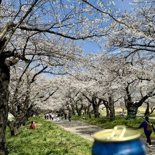 カケタ養鶏場直売所_1