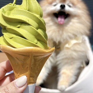 ヒノデエン カフェ_0