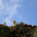 La Chevre d’Or - 金色の山羊