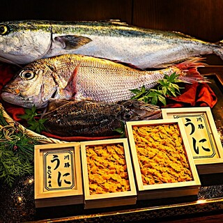 瀬戸の恵み、二つの極み～潮流が育む、明石と淡路の恵み～