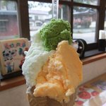 カルナ - にんじん・塩・ほうれん草