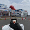 めんたいパーク - 