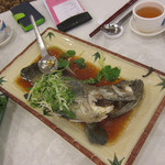好彩海鮮酒家 - 石斑魚