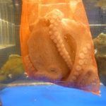 いけす創作 千彩 - 内観（第一回訪問）