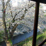 Danro Kan - 桜