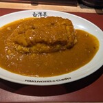 旨辛カレー専門店 白洋亭 - とんかつカレー　めっちゃ美味しい！