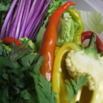 ＭＯＭＩＮＯＫＩ ＨＯＵＳＥ - 