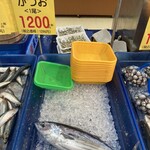ノムラ - かつお1,200円