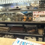 四国三郎 よしの川 - 水槽