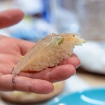 うを徳 - 2026.4 厚岸産白魚
