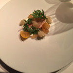 レフェルヴェソンス - 