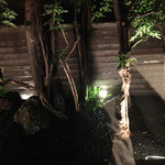 レフェルヴェソンス - 