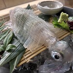 西銀 ぼたん - 