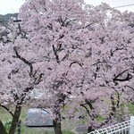 満月 - 