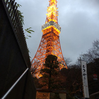 東京 芝 とうふ屋うかい - 