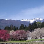 飯島茶寮 - 