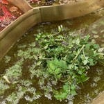 四川料理 花重 - 