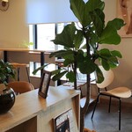Erich CAFE - 