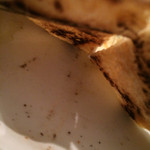 マナリッカ - うらも、しっかり