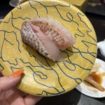 廻る富山湾 すし玉 - 